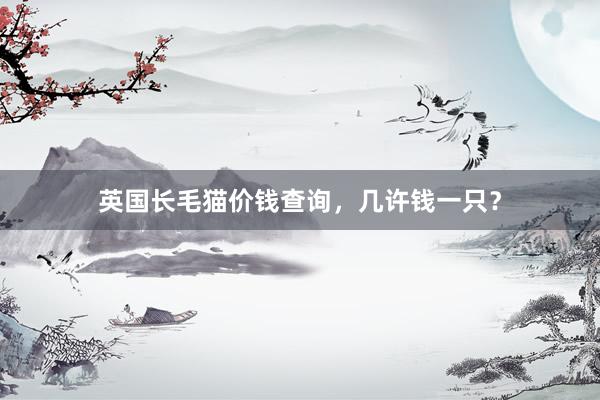 英国长毛猫价钱查询，几许钱一只？